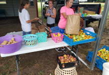 Oklahoma Spotlight: Bringing Fresh Food to a Rural Community through Data and Relationships